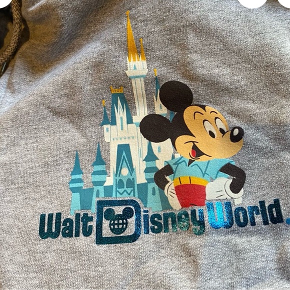 Mickey Mouse and Friends Zip Up Hoodie for Adult M and 2XL - Picture 3 of 7